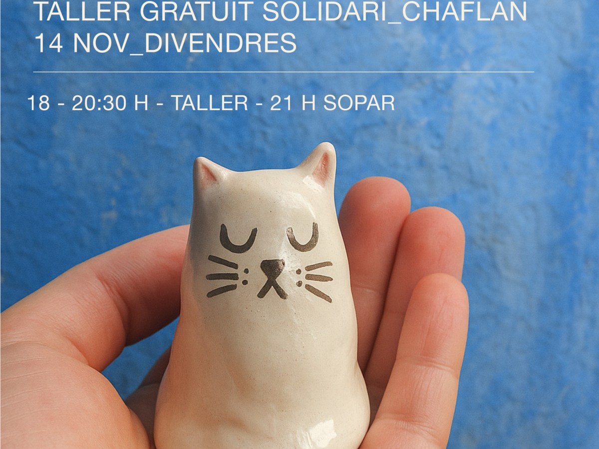 Taller Solidari Gats